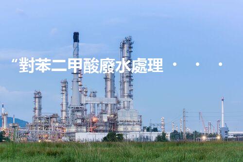 “對苯二甲酸廢水處理，綠色創(chuàng)新引領(lǐng)環(huán)保新篇章”